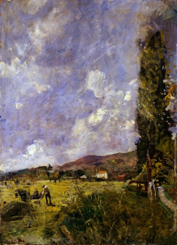 Il cipresso - Artgate Fondazione Cariplo